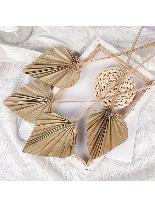 Mini Preserved Palm Leaf