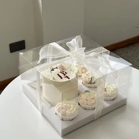 Transparent Bento Cake Box